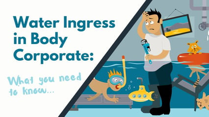 Water Ingress in Body Corporate